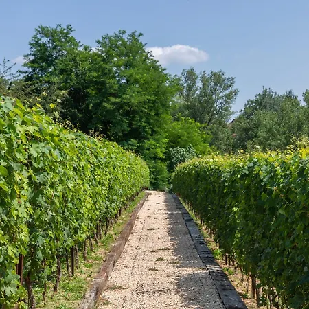 I Quattro Pozzi Séjour à la campagne